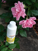 Load image into Gallery viewer, Jump Start Liquid Goldz Hair Growth Solution